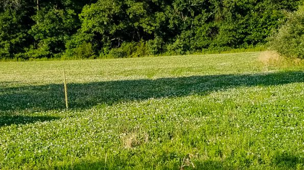 illinois-deer-hunting-property