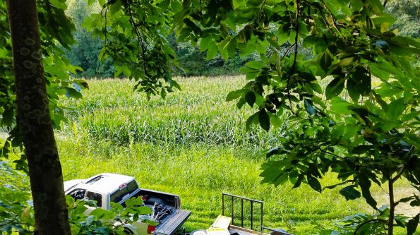 illinois-deer-stand-location